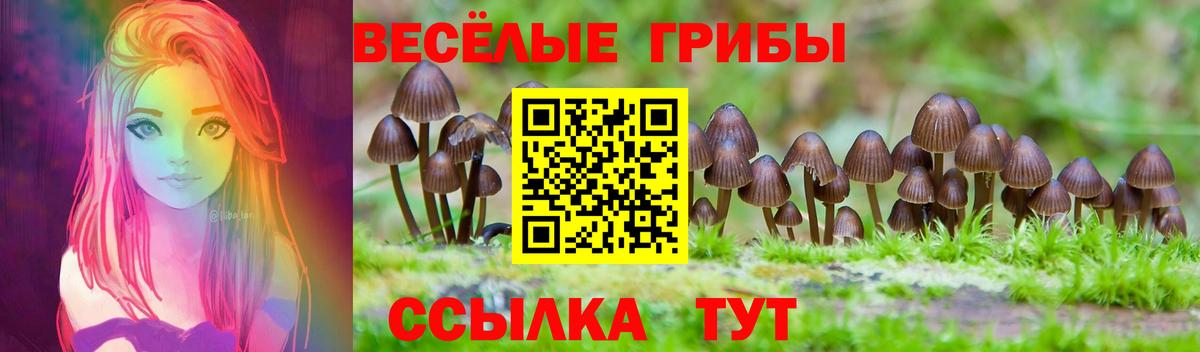 Псилоцибиновые грибы Magic Shrooms  Вход с VPN  Строитель  Псилоцибиновые грибы GOLDEN TEACHER 