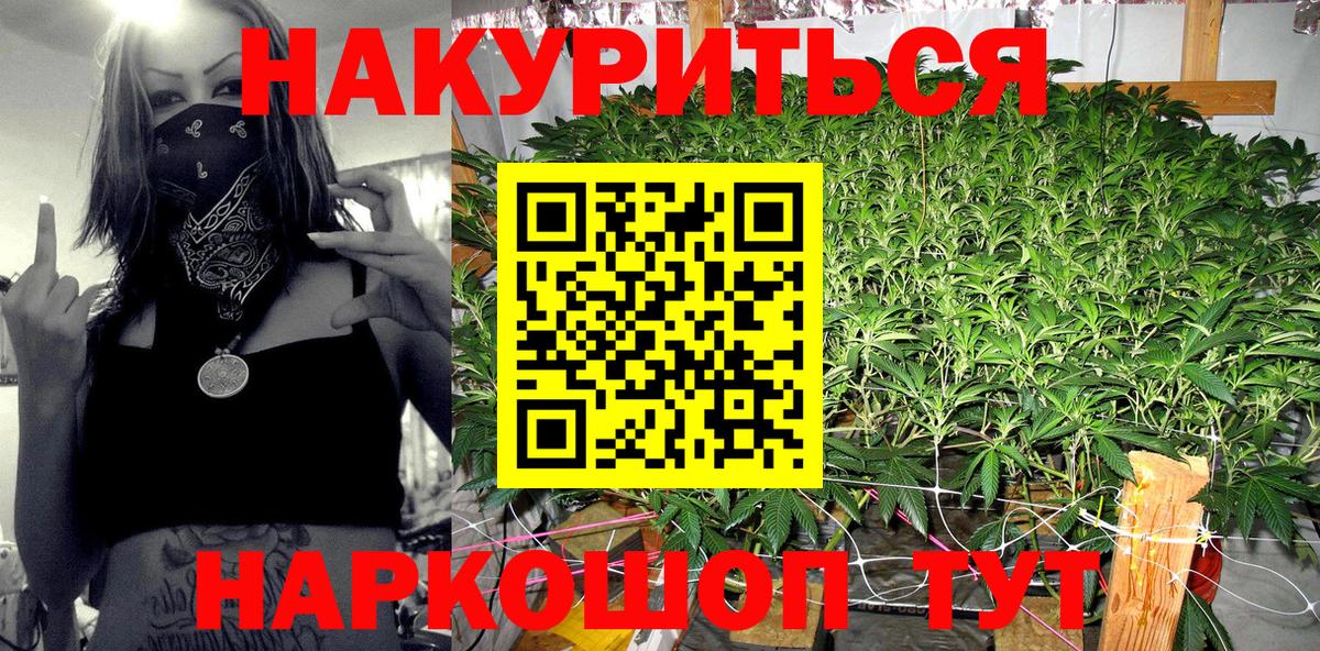 Бошки марихуана сатива  Марихуана план  Марихуана SATIVA & INDICA  Марихуана White Widow  Строитель  Вход с VPN 